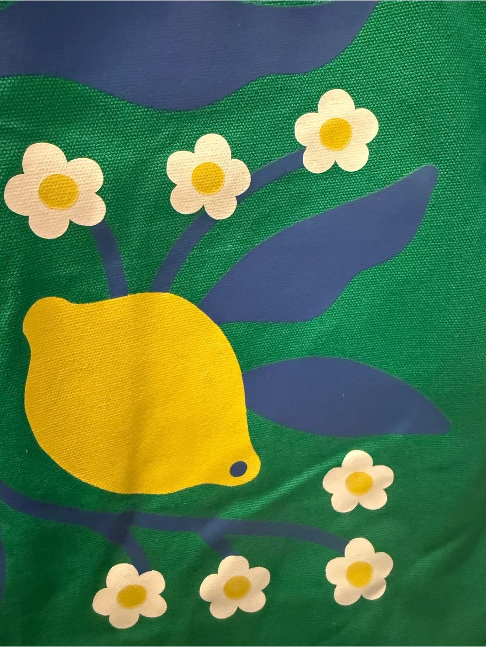 NWT Nordstrom Green Canvas Tote Bag Lemon Floral Market Beach Shopper